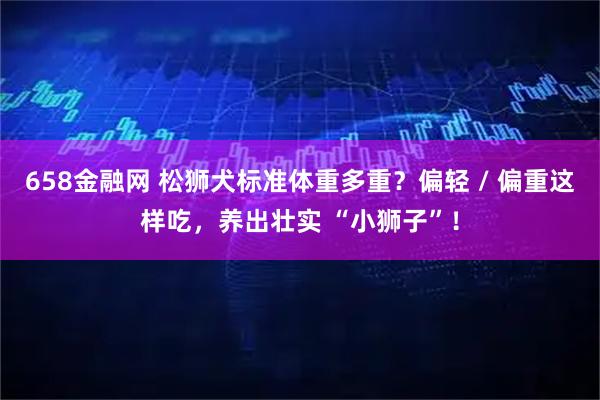 658金融网 松狮犬标准体重多重？偏轻 / 偏重这样吃，养出壮实 “小狮子”！