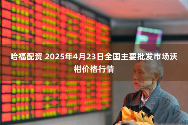哈福配资 2025年4月23日全国主要批发市场沃柑价格行情