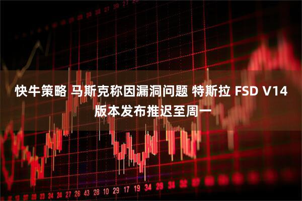 快牛策略 马斯克称因漏洞问题 特斯拉 FSD V14 版本发布推迟至周一