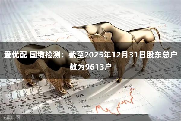 爱优配 国缆检测：截至2025年12月31日股东总户数为9613户